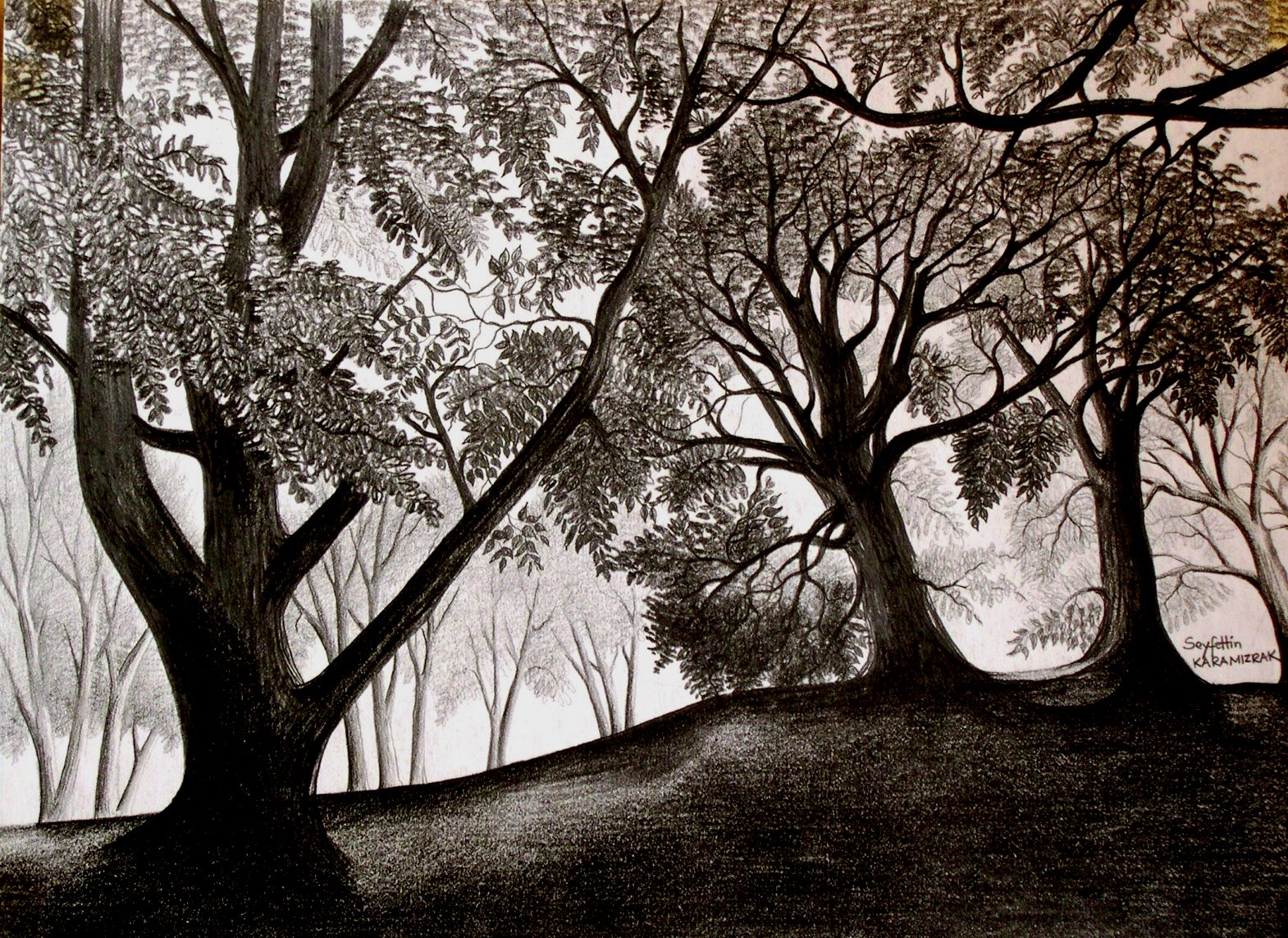 Ağaçların Dostluğu