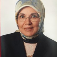 Emine Vildan ÇAĞLAR
