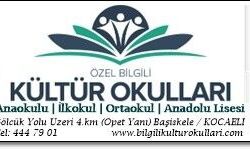 Kültür Okulları
